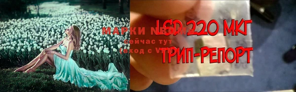 спайс Няндома
