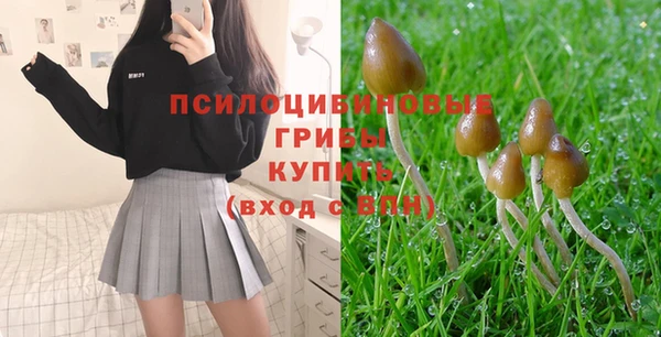 ГАЛЛЮЦИНОГЕННЫЕ ГРИБЫ Нягань